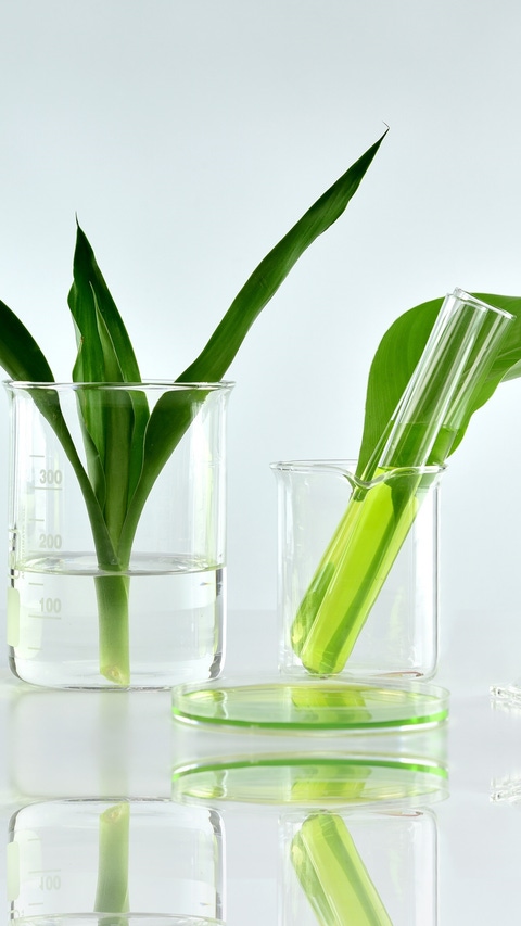 Natural organic botany and scientific glassware, Alternative herb medicine, Natural skin care beauty products, Research and development concept.