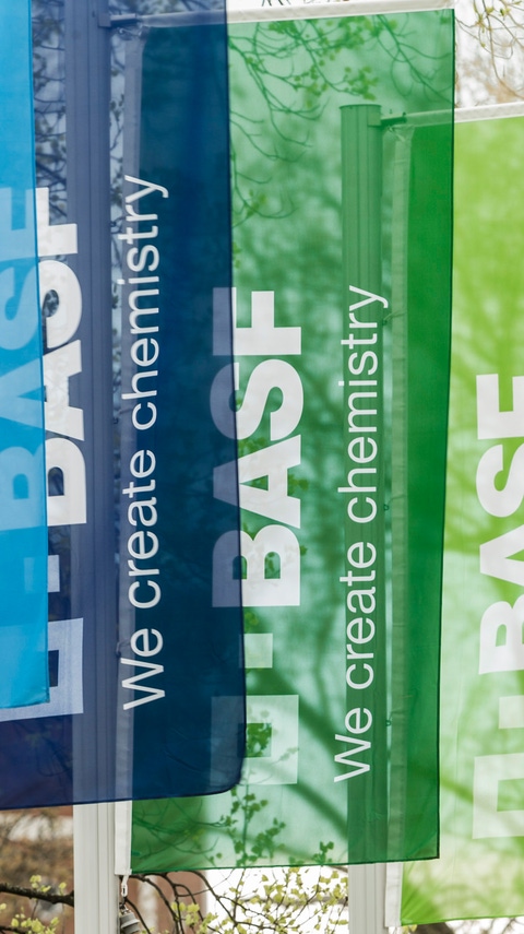 BASF Gesellschaftshaus  Fahnen