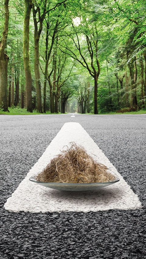 A road through a lush green forest with a white line that appears three-dimensional. In the middle of the street, there are brown fiber bonds on a glass pane. A road through a lush green forest with a white line that appears three-dimensional. In the middle of the street, there are brown fiber bonds on a glass pane.