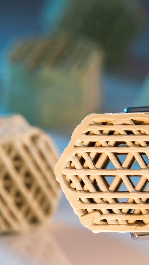Close-up of a ceramic catalyst support with a complex structure held by tweezers; several similar structures blurred in the background. Close-up of a ceramic catalyst support with a complex structure held by tweezers; several similar structures blurred in the background.