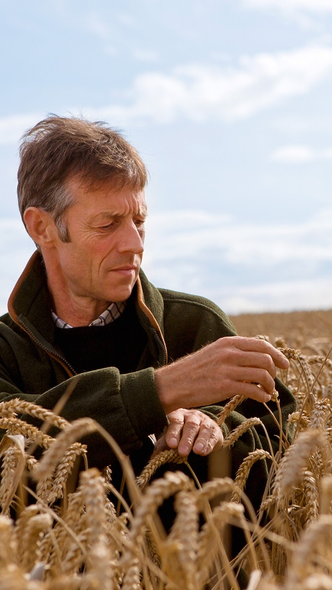 On the English farm "The Grange", farmer Andrew Pitts brings modern agriculture and the protection of biodiversity together. The farm is supported by the European Farm Network, a BASF partnership with experts for agriculture and nature protection. Farmers as well as experts for agriculture and for nature conservation join their knowhow, create measures that increase sustainable farming and test them.
Andrew Pitts monitors the quality and quantity of the harvest because only by profitability a sustainable business is possible. On the English farm "The Grange", farmer Andrew Pitts brings modern agriculture and the protection of biodiversity together. The farm is supported by the European Farm Network, a BASF partnership with experts for agriculture and nature protection. Farmers as well as experts for agriculture and for nature conservation join their knowhow, create measures that increase sustainable farming and test them.
Andrew Pitts monitors the quality and quantity of the harvest because only by profitability a sustainable business is possible.