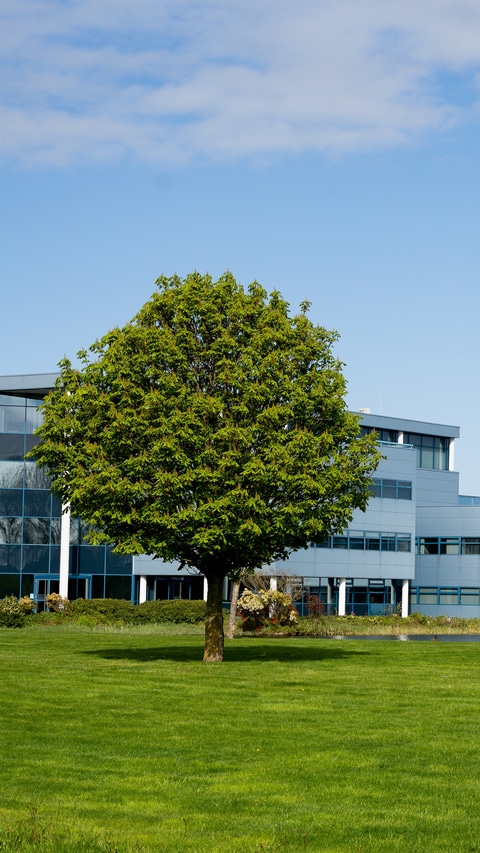 De BASF-site in Heerenveen