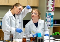 Participants in BASF’s Teens’ Lab investigate material properties and identify substances by chemical and physical methods. Participants in BASF’s Teens’ Lab investigate material properties and identify substances by chemical and physical methods.