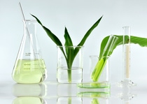 Natural organic botany and scientific glassware, Alternative herb medicine, Natural skin care beauty products, Research and development concept.