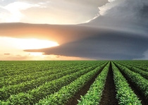 BASF has received the U.S. Environmental Protection Agency (EPA) registration of Alite™ 27 herbicide for use in select counties across Indiana, Kansas, Kentucky, Missouri, Ohio, South Dakota and Tennessee. BASF has received the U.S. Environmental Protection Agency (EPA) registration of Alite™ 27 herbicide for use in select counties across Indiana, Kansas, Kentucky, Missouri, Ohio, South Dakota and Tennessee.