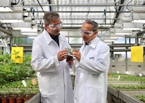 Adapzo® Active, a new fungicide active ingredient, is anticipated to be available for farmers growing soybeans in Brazil, Paraguay and starting in 2029. With its novel mode of action, Adapzo Active is a tailored solution to control Asian Soybean Rust.