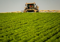 Revysol fungicide, BASF’s newest active ingredient, provides fast-acting and long-lasting disease control for a broad range of crops and disease combinations.