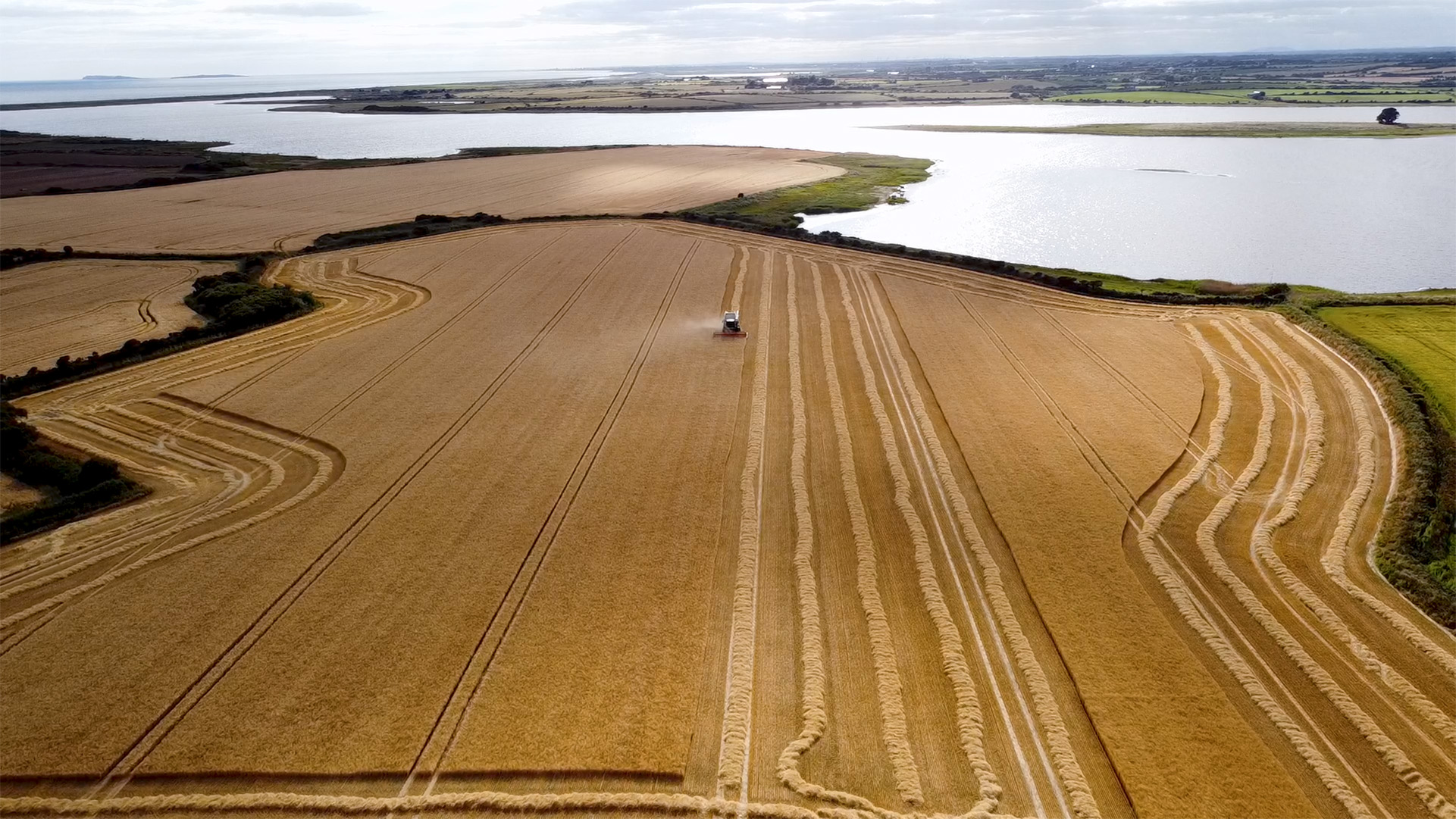 Farmers in County Wexford (Ireland) during harvest in 2024, supplying their crops for Boortmalt’s malting barley production.Photo: BASF