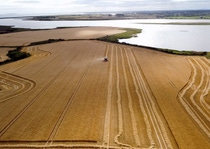 Farmers in County Wexford (Ireland) during harvest in 2024, supplying their crops for Boortmalt’s malting barley production.
Photo: BASF