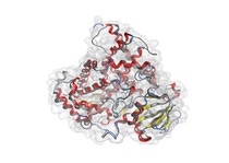 The AI prediction from AlphaFold2 is shown in gray and the experimentally determined structure in color. The AI prediction from AlphaFold2 is shown in gray and the experimentally determined structure in color.