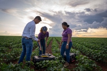 xarvio Agro Experts provides on-the-ground support to Brazilian farmers using xarvio FIELD MANAGER and compatible technologies, including drones, through local agronomic consultancies.