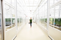 BASF plans to launch more than 30 key pipeline projects globally by 2029 to enable higher yields and quality as well as even more sustainable production for farmers. This includes eight active ingredients, as well as unique traits and high-performing seeds in soybean, canola, cotton and vegetables. BASF plans to launch more than 30 key pipeline projects globally by 2029 to enable higher yields and quality as well as even more sustainable production for farmers. This includes eight active ingredients, as well as unique traits and high-performing seeds in soybean, canola, cotton and vegetables.