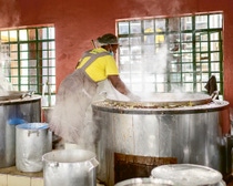 Eine Frau steht vor einem riesigen Bottich Reis und rührt um. Eine Frau steht vor einem riesigen Bottich Reis und rührt um.