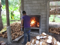 Drobni rolnicy na Filipinach robiÄ pierwszy waÅ¼ny krok na drodze do produkcji ekologicznego oleju kokosowego,Drobni rolnicy na Filipinach robią pierwszy ważny krok na drodze do produkcji ekologicznego oleju kokosowego