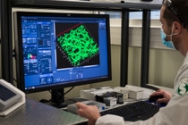 Auf der menschlichen Haut leben zahlreiche unterschiedliche Bakterien, die für die Gesundheit des größten Organs des Menschen wichtig sind. Über ihre genaue Funktion war bisher jedoch wenig bekannt. In einer Studie konnten Forscherinnen und Forscher von BASF nun nachweisen, dass auf der Haut jüngerer Menschen im Bereich der Augen Bakterien der Art Lactobacillus crispatus sehr häufig vorkommen. Im Inneren der Falten älterer Menschen sind diese jedoch nicht mehr nachweisbar. In-vitro-Studien zeigten, dass diese lebenden Bakterien die Bildung von Kollagen in den Hautzellen stimulieren können. Nicolas Berthelemy, F&E-Projektleiter bei BASF Beauty Care Solutions France S.A.S, beobachtet die Organisation des Kollagennetzwerks in 3D (in Grün) in einem Hautmodell unter Verwendung eines konfokalen Multiphotonenmikroskops. Auf Basis dieser Erkenntnis entwickelte BASF Probiolift®. Es ist der erste kosmetische Wirkstoff, der hauteigene, lebende Probiotika – Lactobacillus crispatus-Bakterien – enthält.  Foto: BASF SE Auf der menschlichen Haut leben zahlreiche unterschiedliche Bakterien, die für die Gesundheit des größten Organs des Menschen wichtig sind. Über ihre genaue Funktion war bisher jedoch wenig bekannt. In einer Studie konnten Forscherinnen und Forscher von BASF nun nachweisen, dass auf der Haut jüngerer Menschen im Bereich der Augen Bakterien der Art Lactobacillus crispatus sehr häufig vorkommen. Im Inneren der Falten älterer Menschen sind diese jedoch nicht mehr nachweisbar. In-vitro-Studien zeigten, dass diese lebenden Bakterien die Bildung von Kollagen in den Hautzellen stimulieren können. Nicolas Berthelemy, F&E-Projektleiter bei BASF Beauty Care Solutions France S.A.S, beobachtet die Organisation des Kollagennetzwerks in 3D (in Grün) in einem Hautmodell unter Verwendung eines konfokalen Multiphotonenmikroskops. Auf Basis dieser Erkenntnis entwickelte BASF Probiolift®. Es ist der erste kosmetische Wirkstoff, der hauteigene, lebende Probiotika – Lactobacillus crispatus-Bakterien – enthält.  Foto: BASF SE