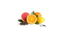Fresh juicy citrus fruits with green leaves on white background Fresh juicy citrus fruits with green leaves on white background