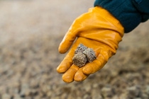 Detailed view of a catalyst produced based on 3D printing technology. With the new X3D® catalyst shaping technology, BASF has achieved a technological breakthrough in catalyst manufacturing. The innovative technology is based on 3D printing and can produce catalysts with customized geometrical shapes offering optimized performance and efficiency. 
Photo: BASF