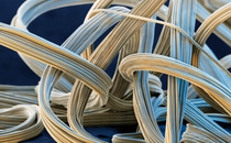 ELASTISCHE FASERN
Spandex-Fasern sorgen seit über vierzig Jahren für dauerhafte Elastizität vieler Textilien, wie Badeanzügen, Sportkleidung und Strumpfhosen. Unter dem Elektronenmikroskop wird sichtbar, dass die Fasern aus mehreren Filamenten bestehen. Ein Grundstoff dieser Fasern ist PolyTHF®, das die BASF an die Faserhersteller liefert.
Vergrößerung  55 : 1 (bei 12cm Bildbreite)
Abdruck honorarfrei. Copyright by BASF.
ELASTIC FIBERS
For more than forty years, spandex fibers have ensured the permanent elasticity of many textiles, such as swimsuits, sportswear and hosiery. Seen through an electron microscope, the fibers consist of several filaments. One of the raw materials of these fibers is PolyTHF®, which BASF supplies to spandex manufacturers.
Magnification  55 :1 (12cm in width)
Print free of charge. Copyright by BASF.
 ELASTISCHE FASERN
Spandex-Fasern sorgen seit über vierzig Jahren für dauerhafte Elastizität vieler Textilien, wie Badeanzügen, Sportkleidung und Strumpfhosen. Unter dem Elektronenmikroskop wird sichtbar, dass die Fasern aus mehreren Filamenten bestehen. Ein Grundstoff dieser Fasern ist PolyTHF®, das die BASF an die Faserhersteller liefert.
Vergrößerung  55 : 1 (bei 12cm Bildbreite)
Abdruck honorarfrei. Copyright by BASF.
ELASTIC FIBERS
For more than forty years, spandex fibers have ensured the permanent elasticity of many textiles, such as swimsuits, sportswear and hosiery. Seen through an electron microscope, the fibers consist of several filaments. One of the raw materials of these fibers is PolyTHF®, which BASF supplies to spandex manufacturers.
Magnification  55 :1 (12cm in width)
Print free of charge. Copyright by BASF.