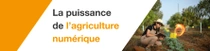 Une agricultrice, portant une salopette et un chapeau, tient une tablette et examine des plants dans un champ par une journée ensoleillée. Un tourbillon lumineux flotte près de la tablette. Sur le côté gauche de l’image, un texte indique : « La puissance de l’agriculture numérique. » 