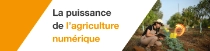 Une agricultrice, portant une salopette et un chapeau, tient une tablette et examine des plants dans un champ par une journée ensoleillée. Un tourbillon lumineux flotte près de la tablette. Sur le côté gauche de l’image, un texte indique : « La puissance de l’agriculture numérique. » Une agricultrice, portant une salopette et un chapeau, tient une tablette et examine des plants dans un champ par une journée ensoleillée. Un tourbillon lumineux flotte près de la tablette. Sur le côté gauche de l’image, un texte indique : « La puissance de l’agriculture numérique. »