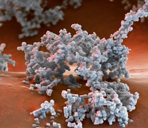 BASF’s specialty zeolites based on crystalline alumosilicates play a key role in diesel automotive emission catalysts to reduce harmful NOx emissions. Magnification 8000:1 (15cm in width) BASF’s specialty zeolites based on crystalline alumosilicates play a key role in diesel automotive emission catalysts to reduce harmful NOx emissions. Magnification 8000:1 (15cm in width)