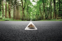 Road in woods, road marking close up Road in woods, road marking close up