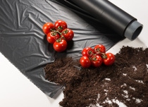 With ecovio® M 2351, BASF offers a certified soil-biodegradable plastic for mulch films consisting of the biodegradable co-polyester polybutylene adipate terephthalate (PBAT) ecoflex® and other biodegradable polymers made from renewable raw materials. Mulch films made of ecovio® M 2351 can be ploughed into the soil after mechanical harvest as naturally occurring micro-organisms in the soil recognize the structure of the film as food they can metabolize. When growing tomatoes, mulch films made of ecovio® can lead to an increased yield from 15 to 50 percent, less water consumption and a better weed control with less herbicides compared to bare-soil farming.
