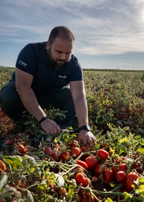 Juan Manuel Lapie, especialista en Tomate de Industria