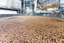 BASF already supplies several internal and external customers with X3D catalysts. Here, the reactor of a chemical plant at BASF’s Ludwigshafen site is being filled.
Photo: BASF