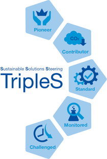 Sustainable Solution Steering - TripleS