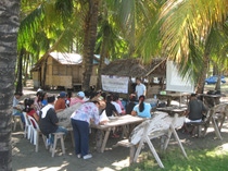 Drobni rolnicy na Filipinach robiÄ pierwszy waÅ¼ny krok na drodze do produkcji ekologicznego oleju kokosowego,Drobni rolnicy na Filipinach robią pierwszy ważny krok na drodze do produkcji ekologicznego oleju kokosowego