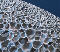 Die geschlossenen Zellen im expandierten thermoplastischen Polyurethan des neuen BASF Schaumstoff Infinergy® machen Schuhsohlen sehr elastisch und sorgen für eine effektive Dämpfung und Federung während des Laufens. Vergrößerung 100:1 (bei 15 cm Bildbreite)