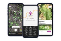 xarvioTM SCOUTING’s advanced image recognition and analysis will enable the joint development of a comprehensive pest monitoring and modelling service for grapes and pome fruits. 