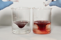 BASF Pigment Comparison BASF Pigment Comparison