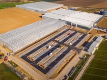 BASF’s new 2.5 hectare greenhouse complex for cucumbers in Nunhem, the Netherlands, will provide new varieties for the global vegetable market.