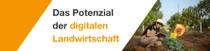 Eine Landwirtin mit Latzhose und Hut hält ein Tablet und untersucht Pflanzen auf einem sonnigen Feld. Ein Lichtwirbel schwebt in der Nähe des Tablets. Auf der linken Seite des Bildes steht der Text: „Das Potenzial der digitalen Landwirtschaft.“ 