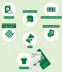 L’infografica mostra 7 icone che simboleggiano la supply chain di una maglietta in cotone dai semi al prodotto. Sulle icone sono presenti etichette che dicono “Semi FiberMax”, “Agricoltura sostenibile”, “Sgranatura (separazione delle fibre)”, “Controllo di qualità e sicurezza”, “Filatura”, “Tessitura, lavorazione a maglia, cucitura”, “Indumento finito” e cartellini con un codice QR per consentire ai clienti di tracciare digitalmente la supply chain. 