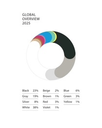 Global Color Report 2025 Pie Chart Global EN