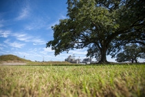 Der BASF-Verbundstandort in Geismar, Louisiana, liegt am Mississippi und produziert Chemikalien, die einen wichtigen Beitrag zu unserem wirtschaftlichen Erfolg und unserer Lebensqualität leisten. Mit einer Größe von zehn Quadratkilometern und 22 Produktionsanlagen ist Geismar der größte BASF-Standort in Nordamerika. Der Standort beheimatet einen Wildpark und schöne Eichenbäume.