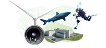 Climate Campaign Graphic with a shark, a diver and a wind turbine Climate Campaign Graphic with a shark, a diver and a wind turbine