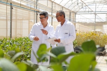 By 2030, more than 30 major R&D projects will complement BASF’s connected offer of seeds and seed treatment products, chemical and biological solutions, as well as digital services. By 2030, more than 30 major R&D projects will complement BASF’s connected offer of seeds and seed treatment products, chemical and biological solutions, as well as digital services.