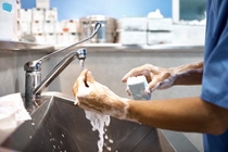 Cropped image of veterinarian washing hands with soap at sink. Close-up of surgeon preparing for surgery. He is in operating room. Cropped image of veterinarian washing hands with soap at sink. Close-up of surgeon preparing for surgery. He is in operating room.
