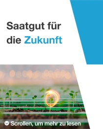 Setzlinge in einem grünen Kunststoff-Tray in einem Gewächshaus, im Hintergrund weiche Bokeh-Lichter. Texteinblendung: „Saatgut für die Zukunft"