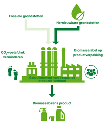 Een infographic van BASF’s gecertificeerde biomassabalans methode.