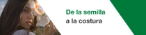 Una mujer con el pelo largo y castaño sostiene una planta de algodón cerca de su rostro. Una espiral de luz es visible encima de la planta de algodón. En el texto pone: “De la semilla a sembrar”. 