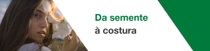 Uma mulher com cabelos castanhos longos segura uma planta de algodão perto do rosto. Um redemoinho de luz é visível acima da planta de algodão. O texto diz “Da semente à colheita”. Uma mulher com cabelos castanhos longos segura uma planta de algodão perto do rosto. Um redemoinho de luz é visível acima da planta de algodão. O texto diz “Da semente à colheita”.