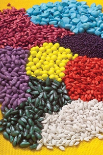 With its expertise in research and state-of-the art formulations, BASF is one of a few companies that can provide a seed treatment with a mixture of both biological and chemical compounds for a well-protected and strengthened crop right from the beginning of its life.
Mit ihrer Erfahrung in Forschung und Formulierung ist BASF eines von nur wenigen Unternehmen, die Saatgut mit einer Mischung aus sowohl biologischen als auch chemischen Wirkstoffen behandeln können. Für gut geschützte und robuste Pflanzen – direkt mit Beginn ihres Lebens. With its expertise in research and state-of-the art formulations, BASF is one of a few companies that can provide a seed treatment with a mixture of both biological and chemical compounds for a well-protected and strengthened crop right from the beginning of its life.
Mit ihrer Erfahrung in Forschung und Formulierung ist BASF eines von nur wenigen Unternehmen, die Saatgut mit einer Mischung aus sowohl biologischen als auch chemischen Wirkstoffen behandeln können. Für gut geschützte und robuste Pflanzen – direkt mit Beginn ihres Lebens.