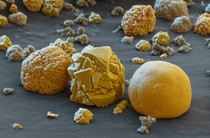 Das Kathodenmaterial für Batterien besteht aus wenigen Mikrometer großen Partikeln und wird bei BASF weiterentwickelt: Kugeln mit einer feineren, größeren Oberfläche (links und rechts) liefern die Energie für Beschleunigungen. Partikel mit grober, kleinerer Oberfläche (Mitte) sind dichter gepackt und sorgen für eine hohe Reichweite. Vergrößerung 6400:1 (bei 12cm Bildbreite).Abdruck honorarfrei. Copyright by BASF.BASF is developing advanced cathode materials for batteries, which consist of tiny particles that are just micrometers in size: spheres with a finer structure and therefore larger surface area (left and right) provide the power for better acceleration while the particles with the rougher, smaller surface area (middle) are more densely packed and allow for a greater range of electric cars. Magnification 6400:1 (12cm in width).Print free of charge. Copyright by BASF.