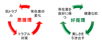 positive-negative.png positive-negative.png