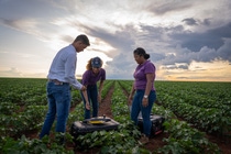xarvio Agro Experts provides on-the-ground support to Brazilian farmers using xarvio FIELD MANAGER and compatible technologies, including drones, through local agronomic consultancies.